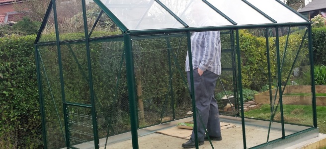 Man standing in greenhouse