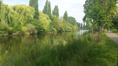 River with trees and lots of greenery on both banks
