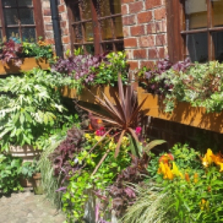 Courtyard with colourful pots and window boxes of plants
